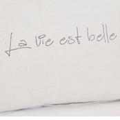 Almohadon La Vie