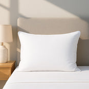 Almohada Feathers Sensation